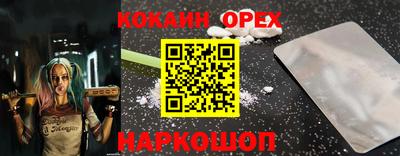 сатива Можга