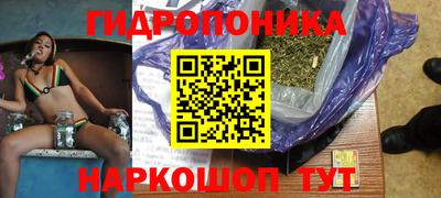 сатива Можга