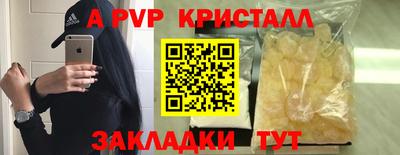 сатива Можга