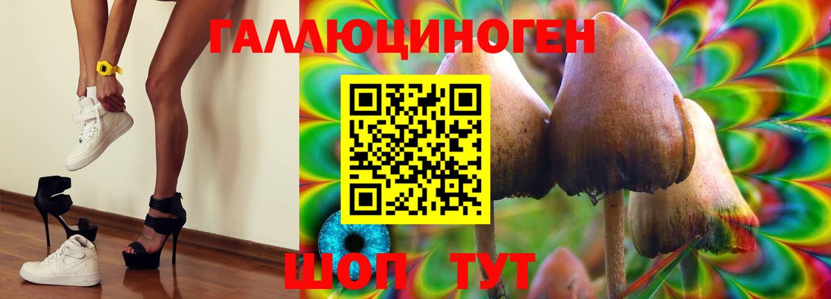 Псилоцибиновые грибы ЛСД Чапаевск