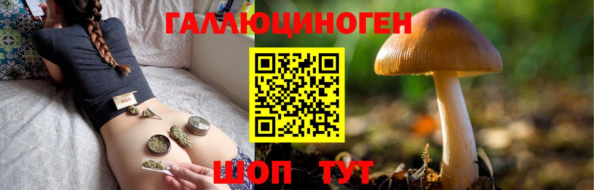 Галлюциногенные грибы мухоморы  Галлюциногенные грибы GOLDEN TEACHER  Вход с VPN  Чапаевск 